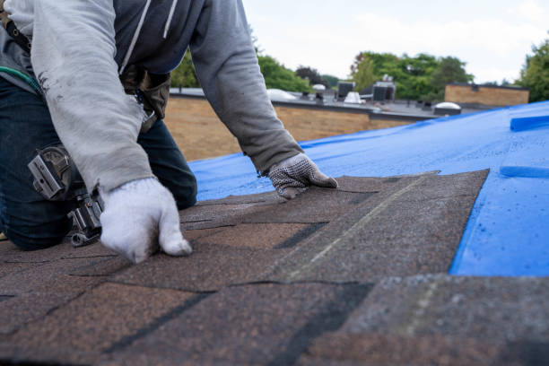 Best Metal Roofing Installation  in Jacksboro, TN